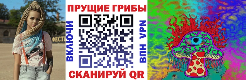 где купить наркоту  Шелехов  Псилоцибиновые грибы Psilocybe 
